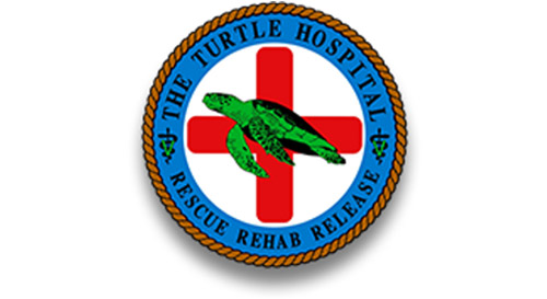 the-turtle-hospital-logo