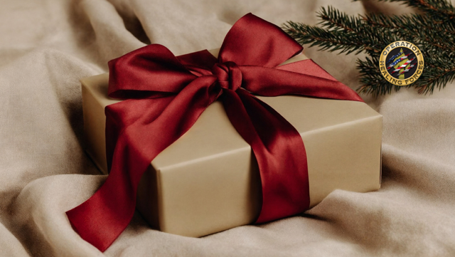 image of a wrapped gift with a red bow