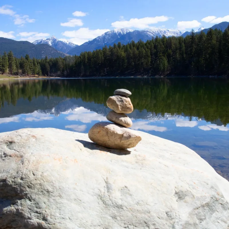 Stress Management article