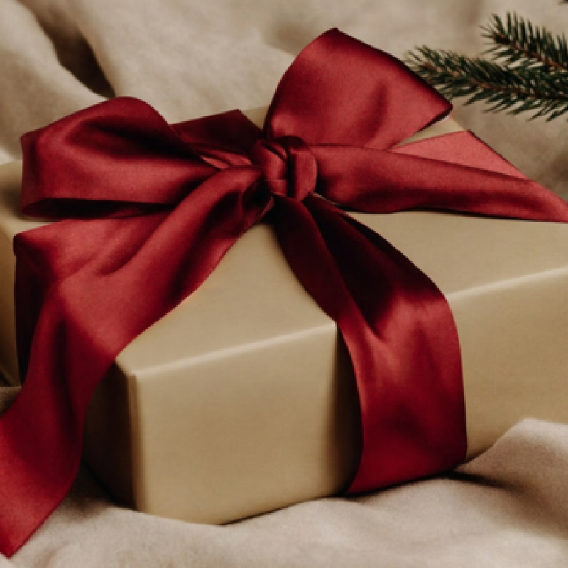 image of a wrapped gift with a red bow